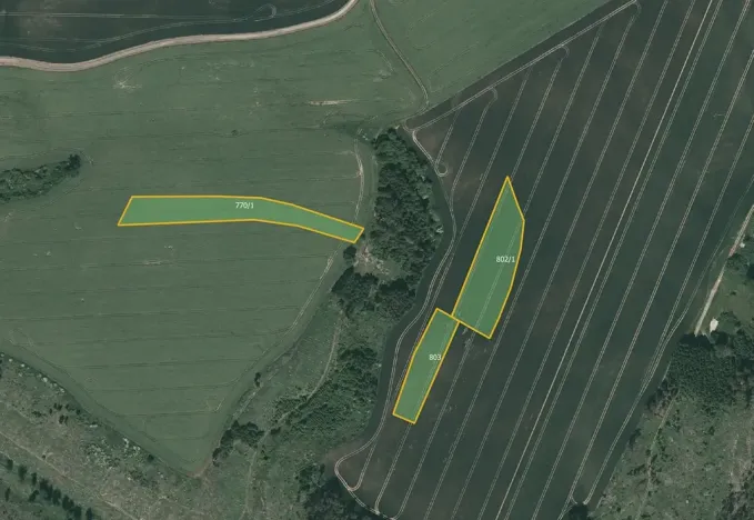 Prodej pole, Hořice, 32824 m2