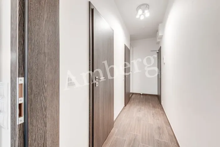 Pronájem bytu 1+kk, Praha - Karlín, U Mlýnského kanálu, 37 m2