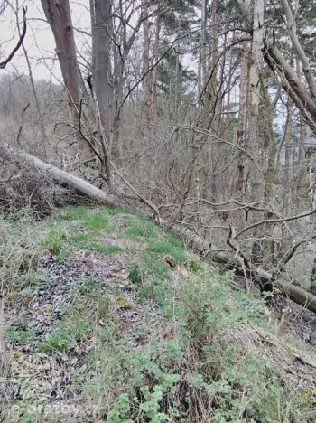 Dražba pozemku, Sušice, 4383 m2