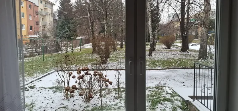 Prodej bytu 1+1, Brno, Palackého třída, 32 m2