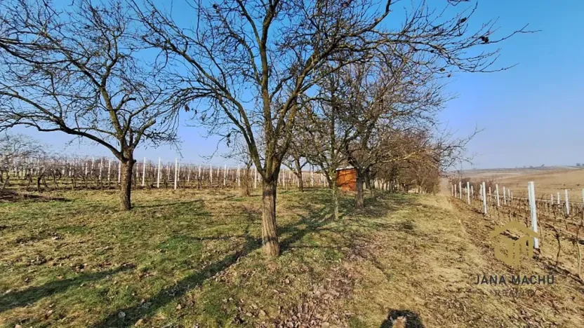 Prodej sadu/vinice, Hovorany, 1322 m2