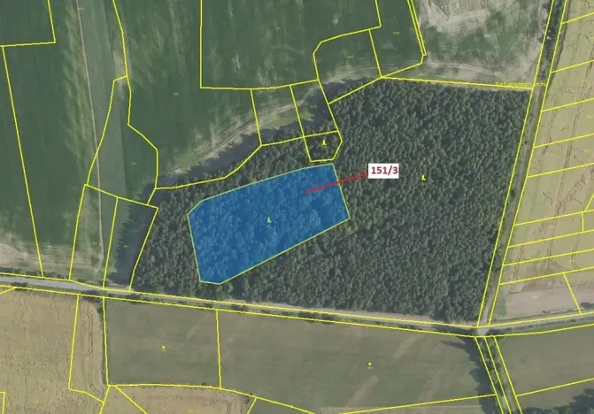 Dražba lesa, Buková u Příbramě, 9307 m2