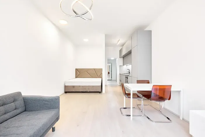 Prodej bytu 1+kk, Praha - Žižkov, Hartigova, 45 m2