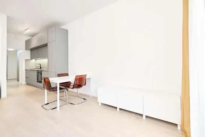 Prodej bytu 1+kk, Praha - Žižkov, Hartigova, 45 m2