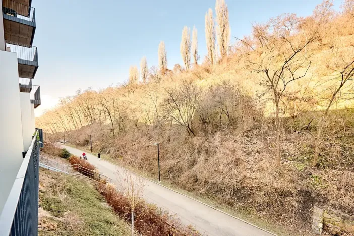 Prodej bytu 1+kk, Praha - Žižkov, Hartigova, 45 m2