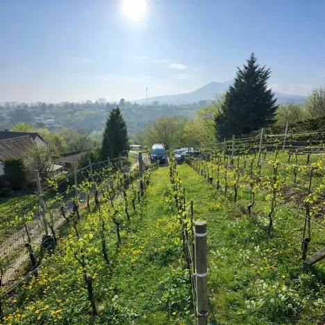 Prodej zahrady, Malé Žernoseky, 992 m2