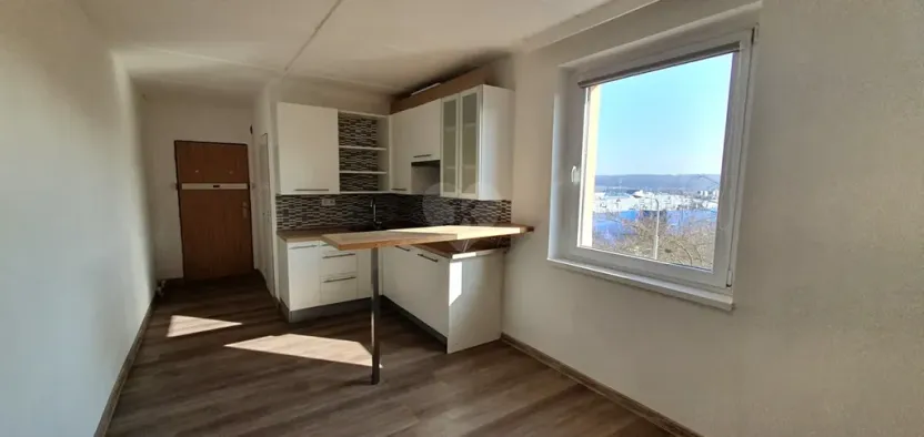 Pronájem bytu 1+kk, Praha - Černý Most, Bryksova, 19 m2
