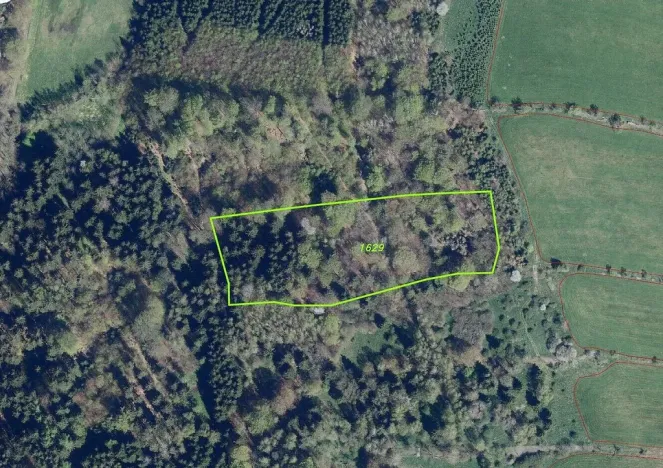 Prodej pole, Petrovice, 14239 m2