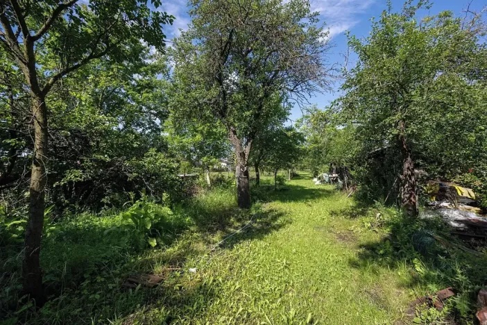 Pronájem zahrady, Brno, Zelná, 3109 m2