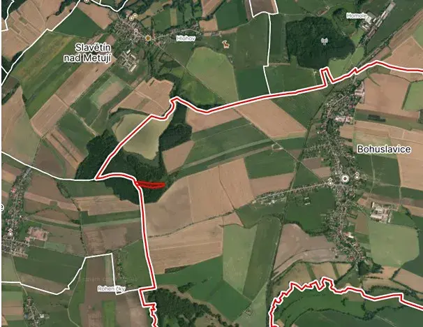 Prodej lesa, Bohuslavice, 11442 m2