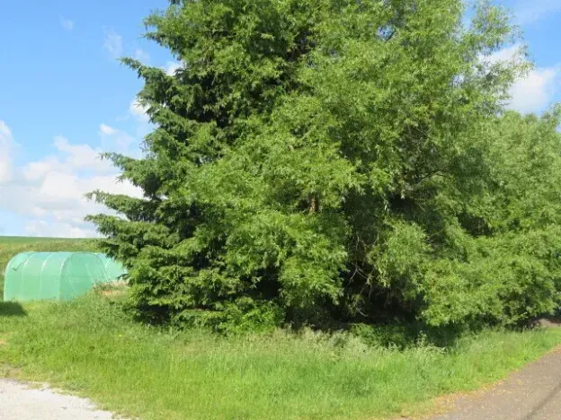 Dražba zahrady, Otročín, 265 m2