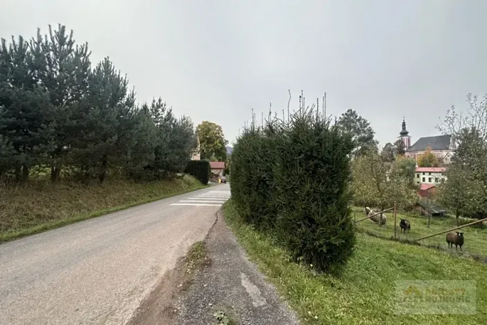 Prodej zemědělské usedlosti, Božanov, 170 m2