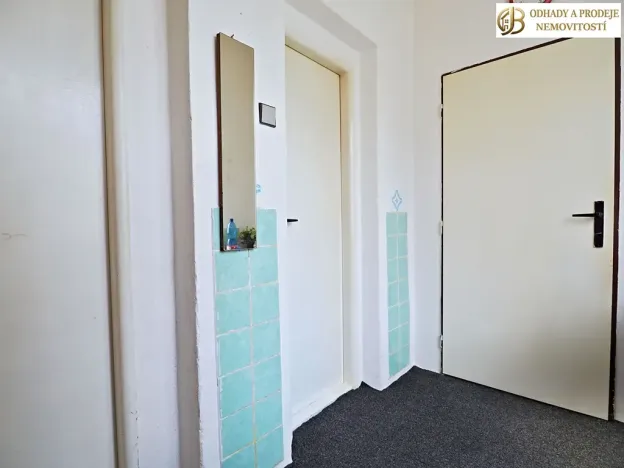 Prodej bytu 2+1, Libina, 100 m2