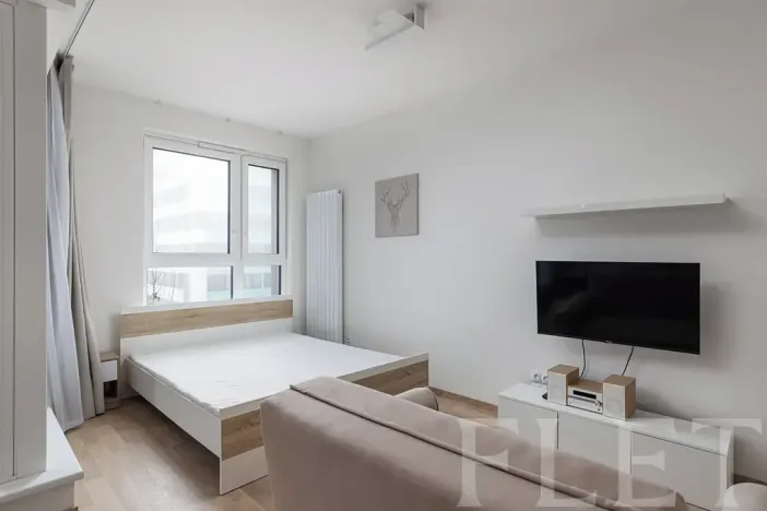 Pronájem bytu 1+kk, Praha - Žižkov, Olgy Havlové, 40 m2