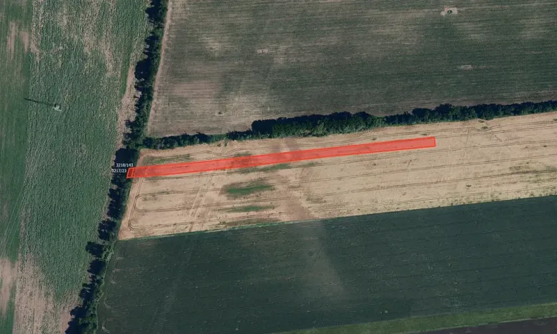 Prodej pole, Prušánky, 6063 m2