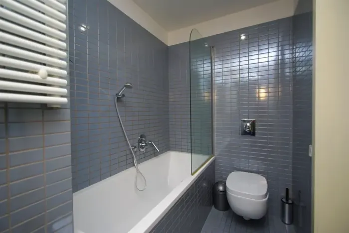 Pronájem bytu 2+kk, Praha - Žižkov, Prokopova, 58 m2