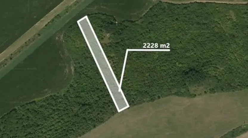 Prodej zahrady, Syrovín, 2318 m2