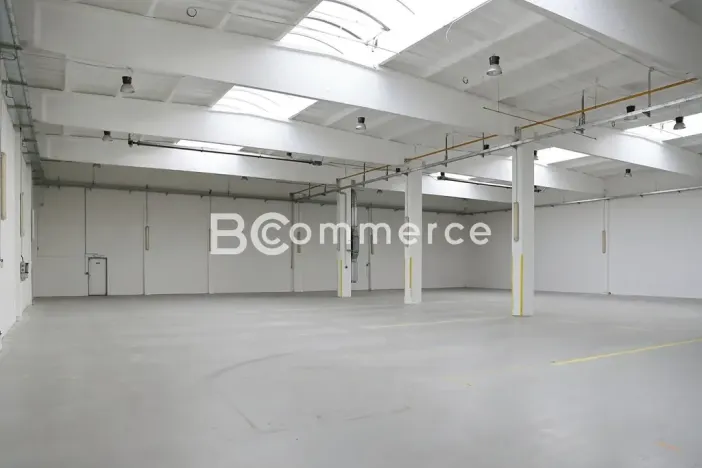 Pronájem skladu, Brno, 1055 m2