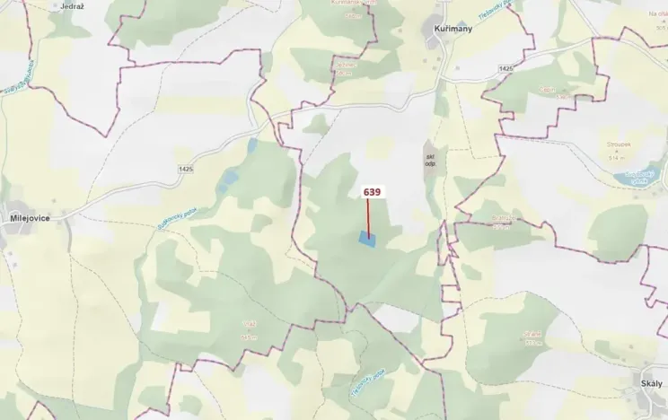 Dražba lesa, Kuřimany, 8912 m2