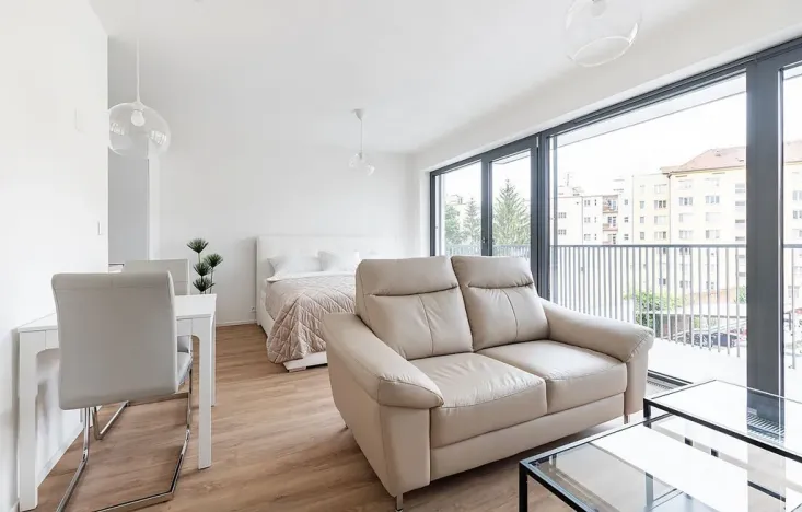 Pronájem bytu 1+kk, Brno - Veveří, Lidická, 52 m2