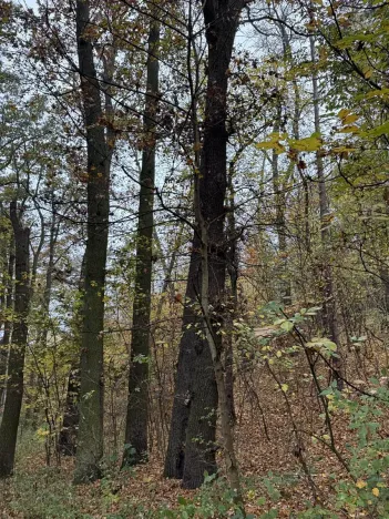 Prodej pozemku, Praha, 14747 m2