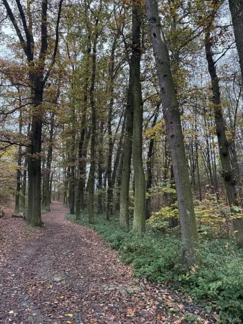 Prodej pozemku, Praha, 14747 m2