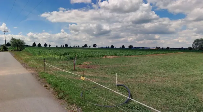 Dražba pozemku pro bydlení, Loket, 7909 m2