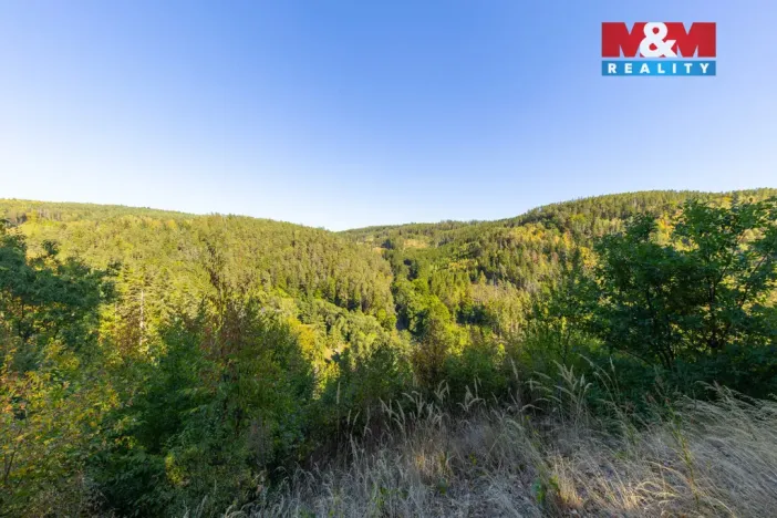 Prodej lesa, Lomnice, 7450 m2