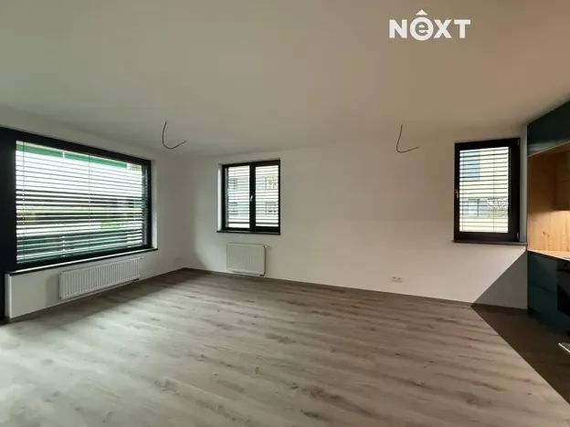 Prodej bytu 2+kk, Praha - Žižkov, Olgy Havlové, 54 m2