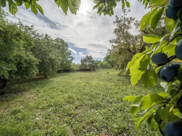 Prodej rodinného domu, Jankovice, 170 m2