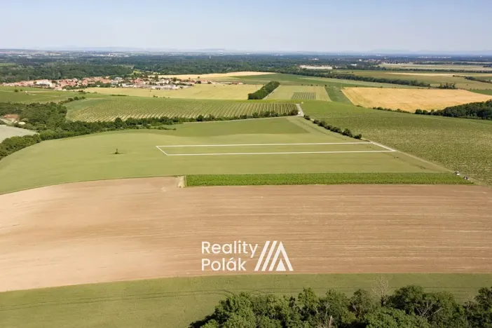 Prodej pole, Bulhary, 7380 m2