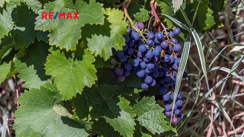 Prodej rodinného domu, Nový Oldřichov, 265 m2