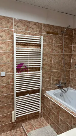 Pronájem bytu 3+1, Olomouc, Na Letné, 71 m2