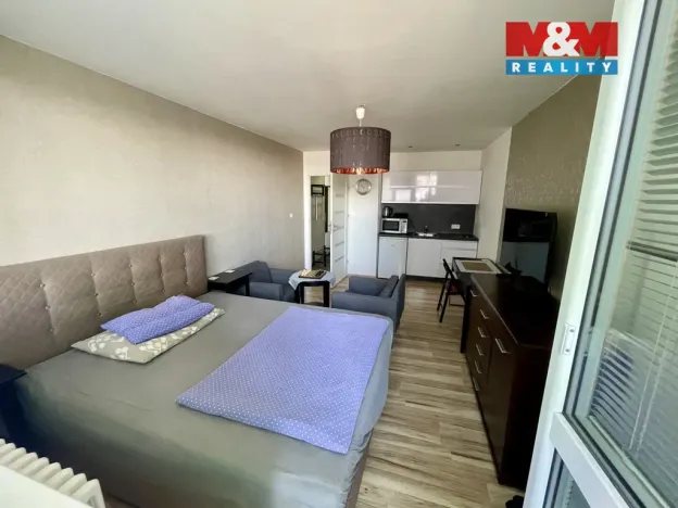 Pronájem bytu 1+kk, Ostrava - Moravská Ostrava, U Parku, 28 m2