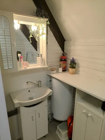 Prodej chaty, Osová Bítýška - Osová, 51 m2