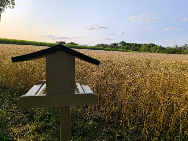 Prodej chaty, Osová Bítýška - Osová, 51 m2