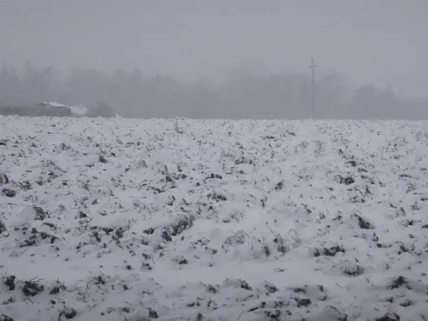 Dražba pole, Škvorec, 1638 m2