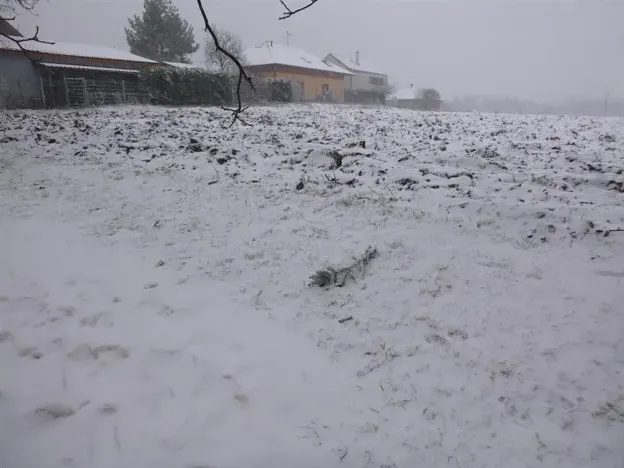 Dražba pole, Škvorec, 1638 m2