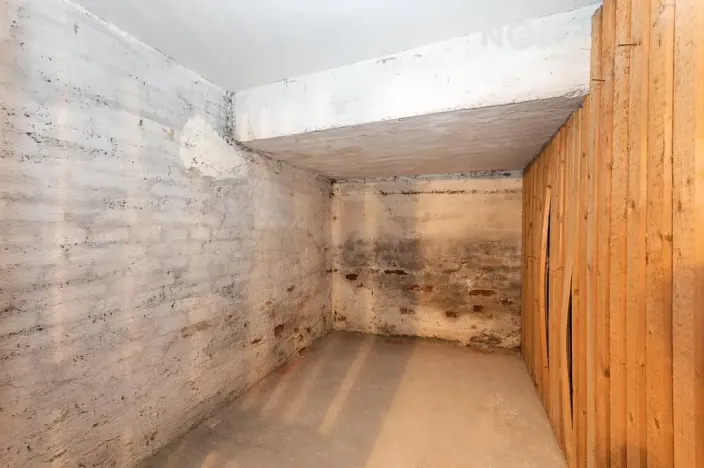 Prodej bytu 2+1, Brno, Skořepka, 55 m2