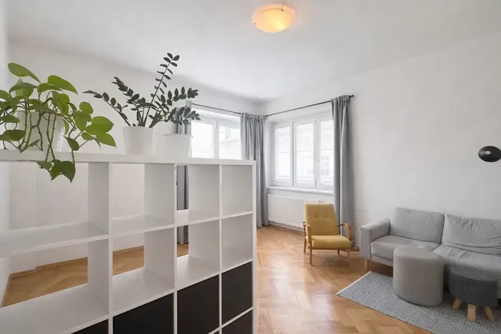 Pronájem bytu 1+1, Brno, Havlišova, 48 m2