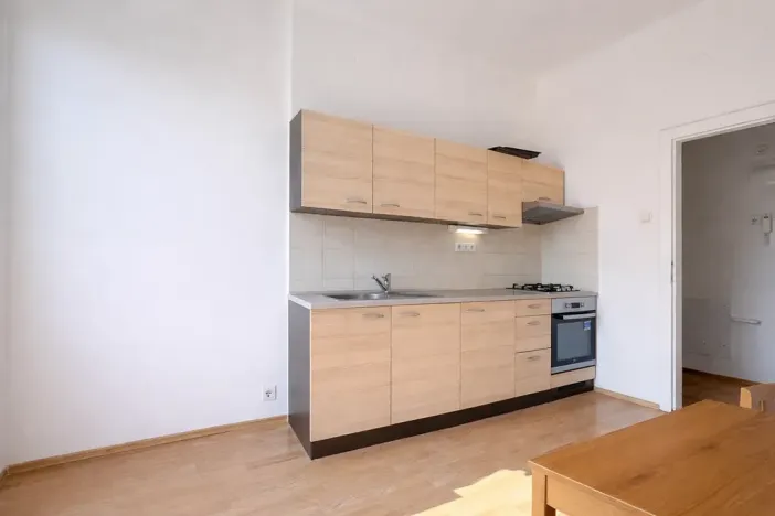 Pronájem bytu 1+1, Brno, Havlišova, 48 m2