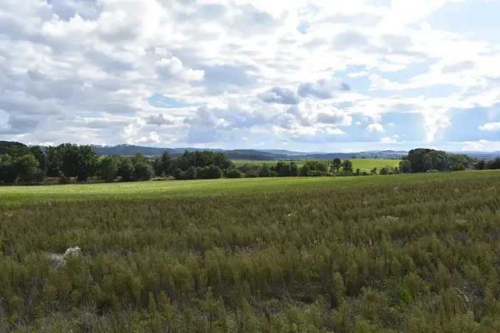 Prodej pozemku pro bydlení, Benešov, 1348 m2