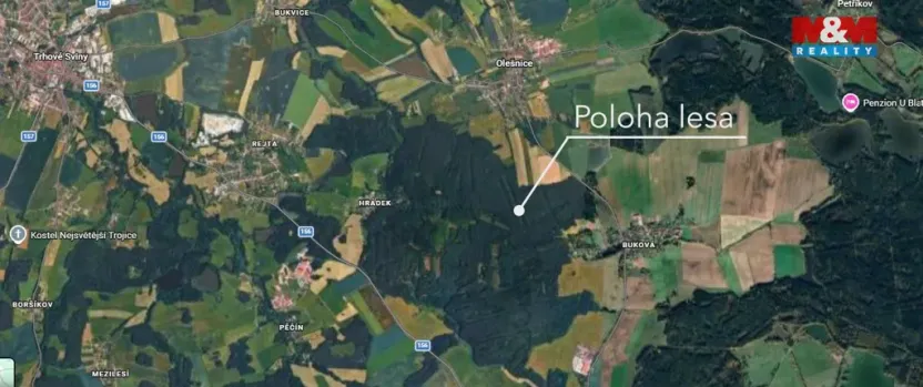 Prodej lesa, Olešnice, 18382 m2