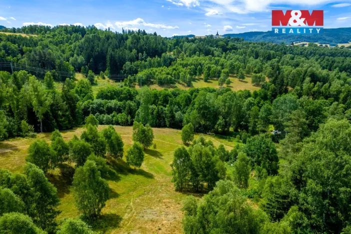 Prodej pozemku, Dlouhý Most, 8531 m2