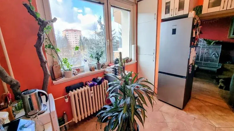 Prodej bytu 3+1, Jihlava, Okružní, 65 m2