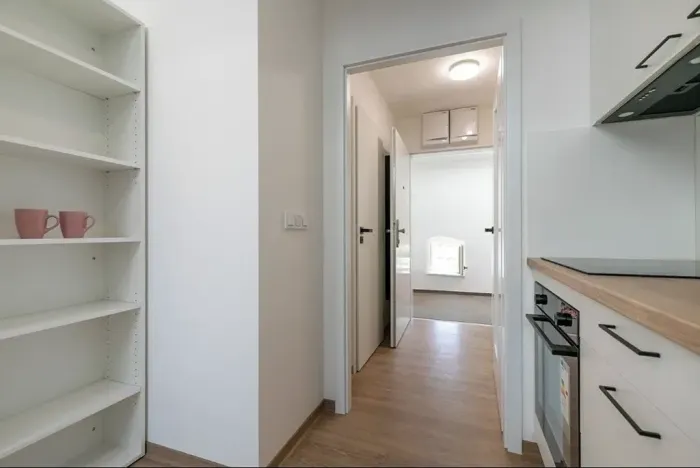 Pronájem bytu 1+kk, Brno, Poštovská, 45 m2