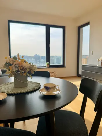 Pronájem bytu 2+kk, Praha, V třešňovce, 50 m2