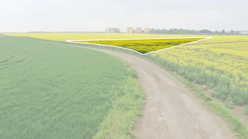 Prodej pole, Klecany, V Honech, 5953 m2