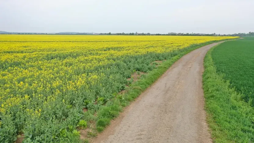 Prodej pole, Klecany, V Honech, 5953 m2