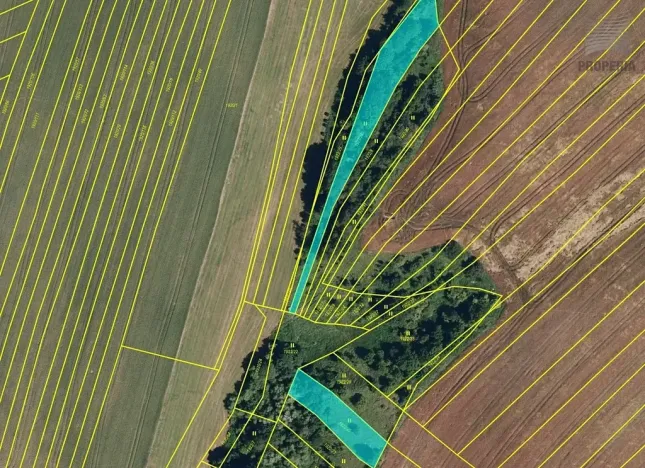 Prodej louky, Ochoz u Brna, 2835 m2